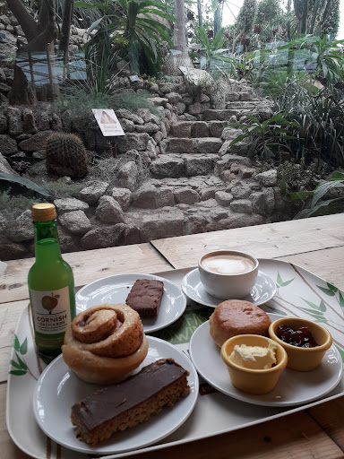 Photo of Eden Kitchen/Cantina/Café - Unnamed Road, Par, Bodelva, Par PL24 2SG